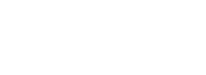 Web Design and Development Agency